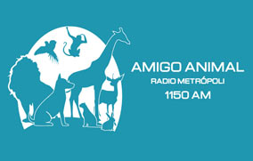Amigo Animal - 2 de Diciembre de 2023